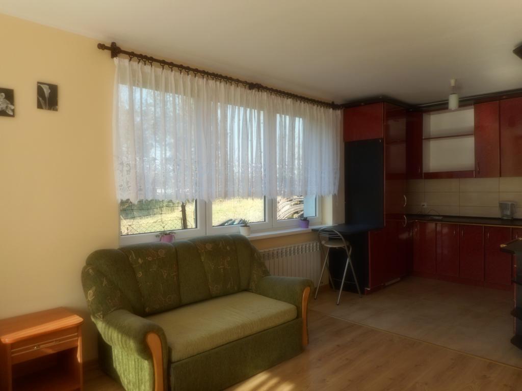 Appartamento Przy Lesie Nowe Esterno foto